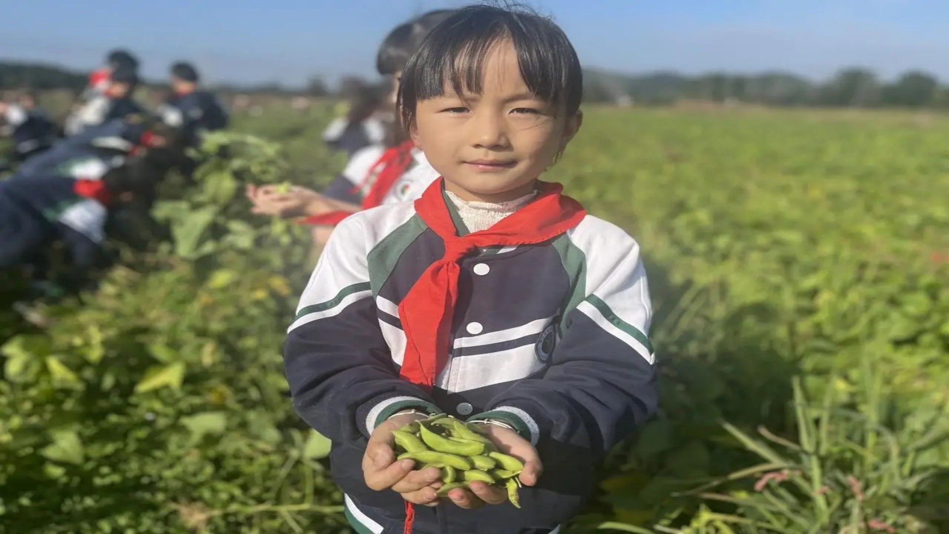 1767838899872589.jpg 80e9a912e6f845c3aa5af75e7706e7fc.jpg