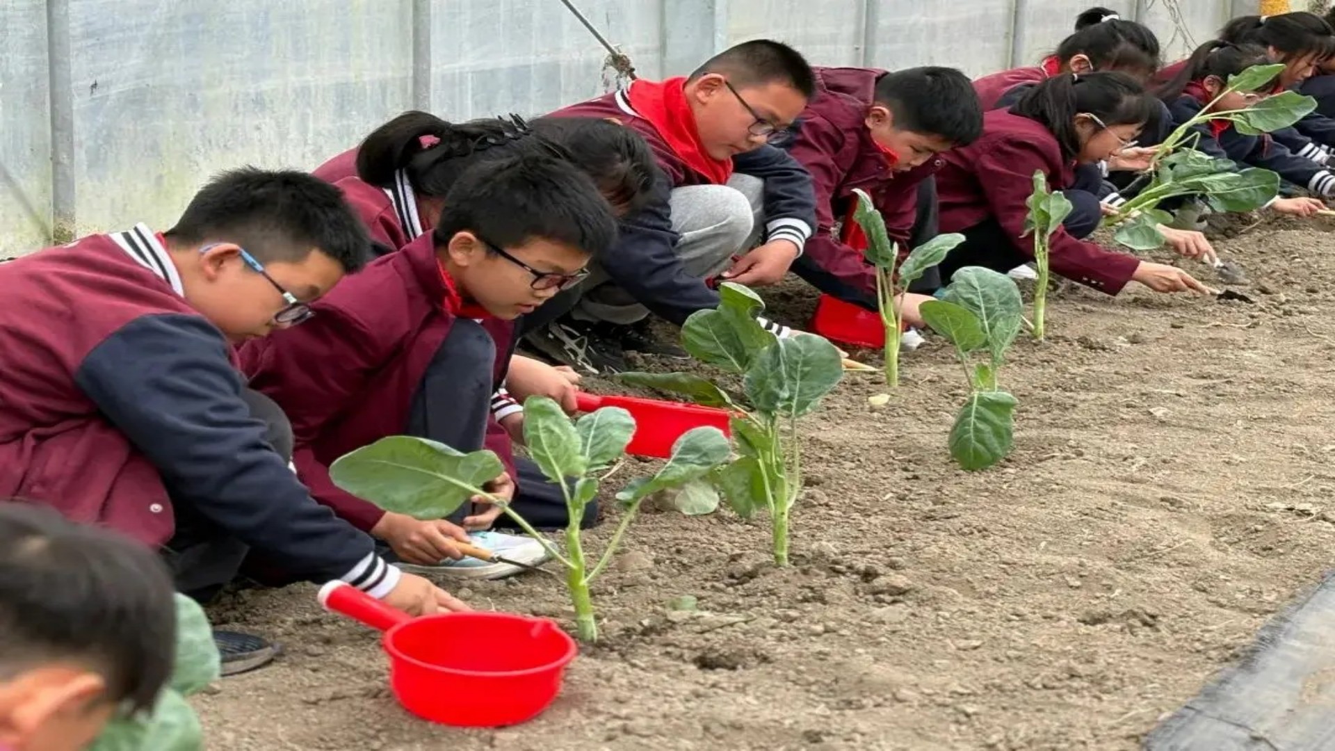 1767838905122955.jpg 774be3e822344930aedc1f8118539224.jpg