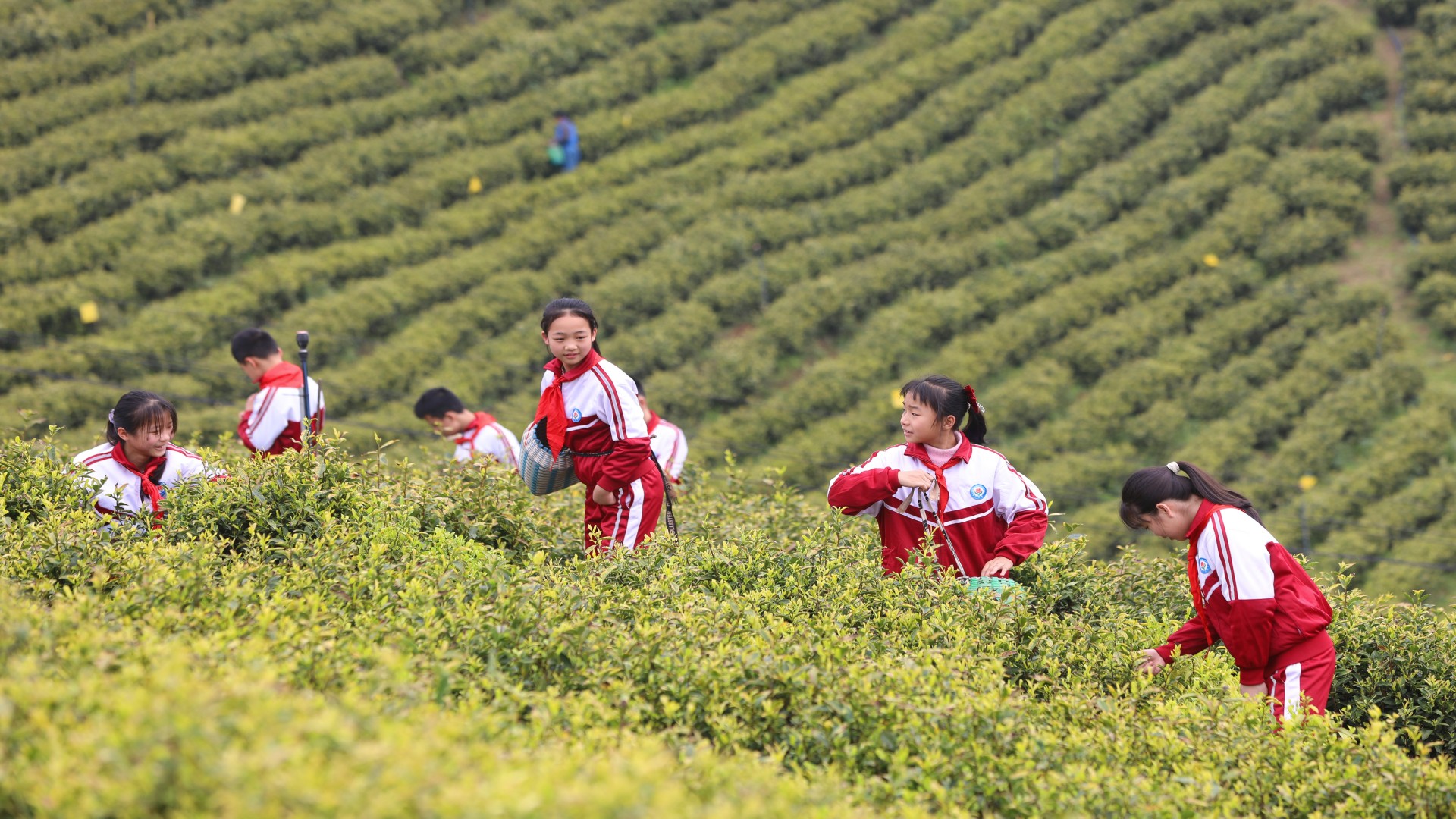 1767838912998748.jpg b9a78a61f45ffded0c1428158c46eaa6.jpg