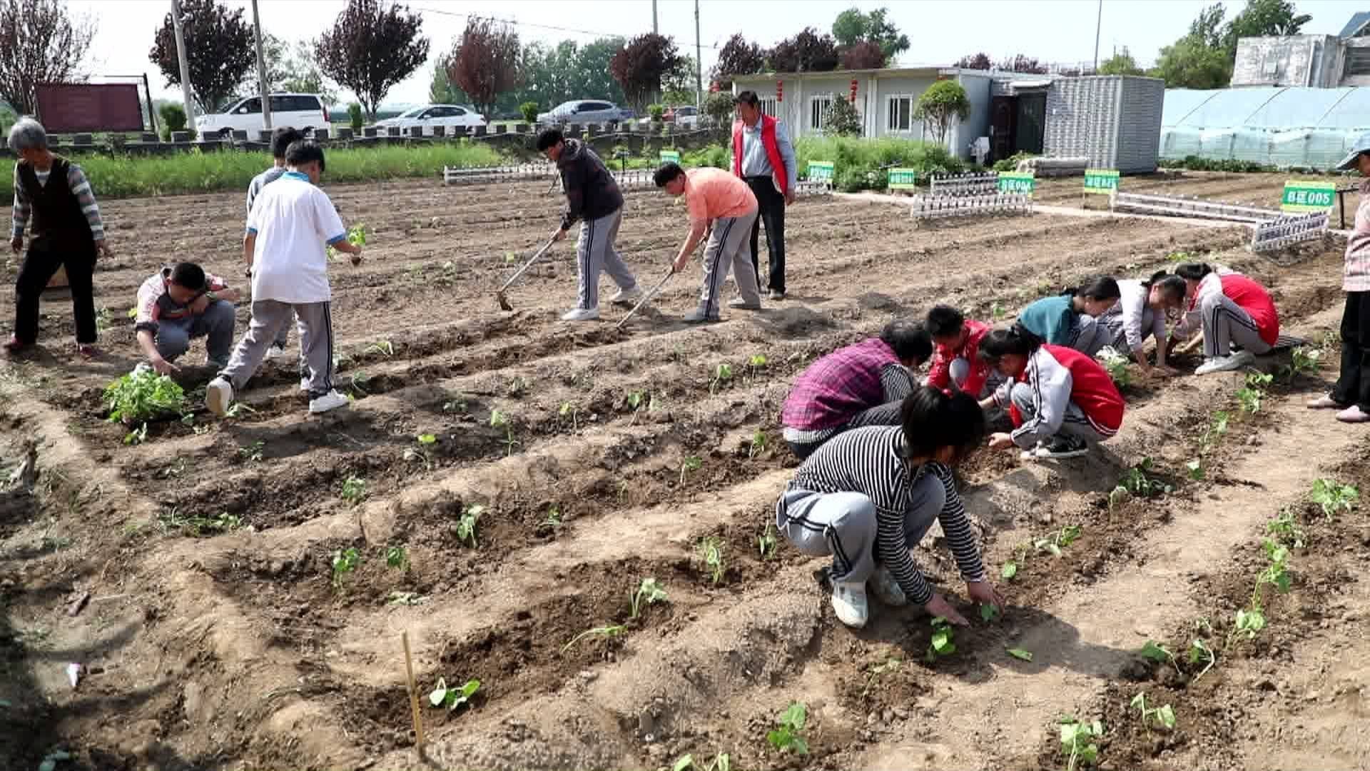 1767921916696350.jpg a0a429e706164607a130df76ad116c3b.jpg