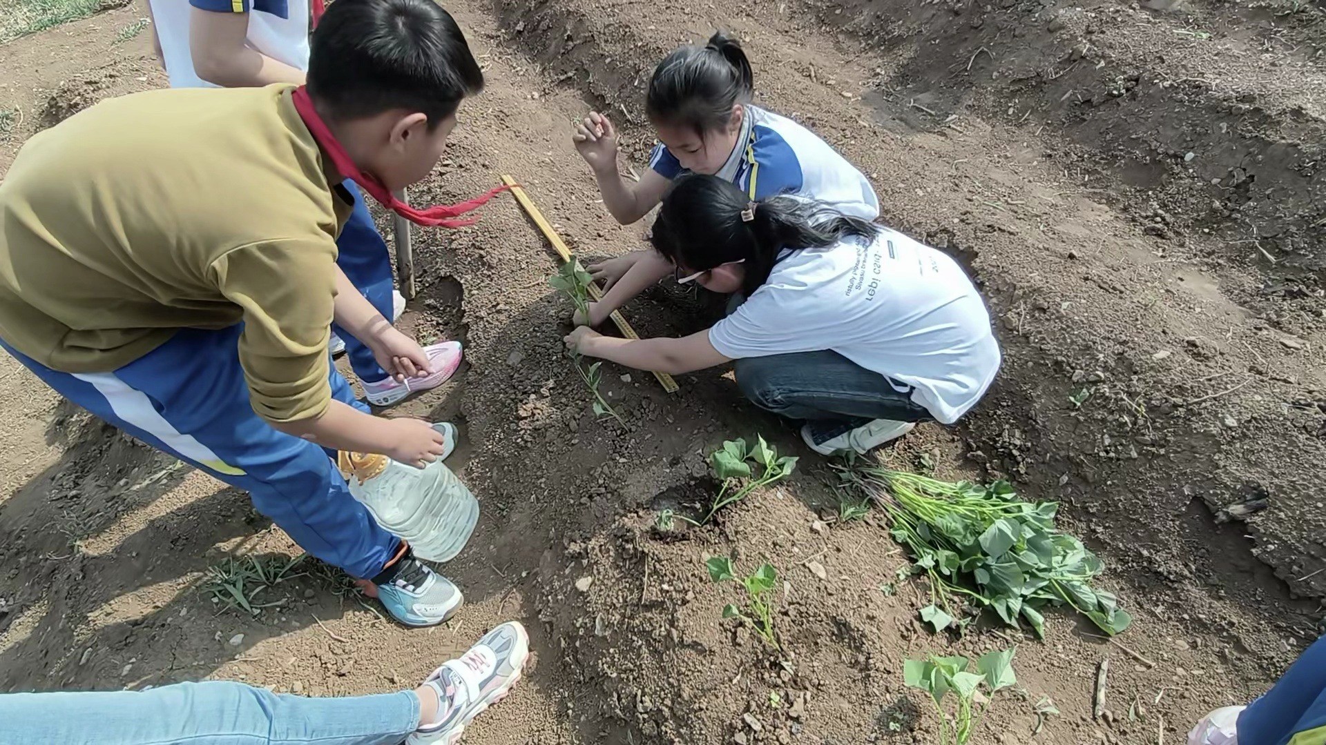 1767921930646942.jpg 0c43753beba6caec25147c44859713ed859b54a0.jpg