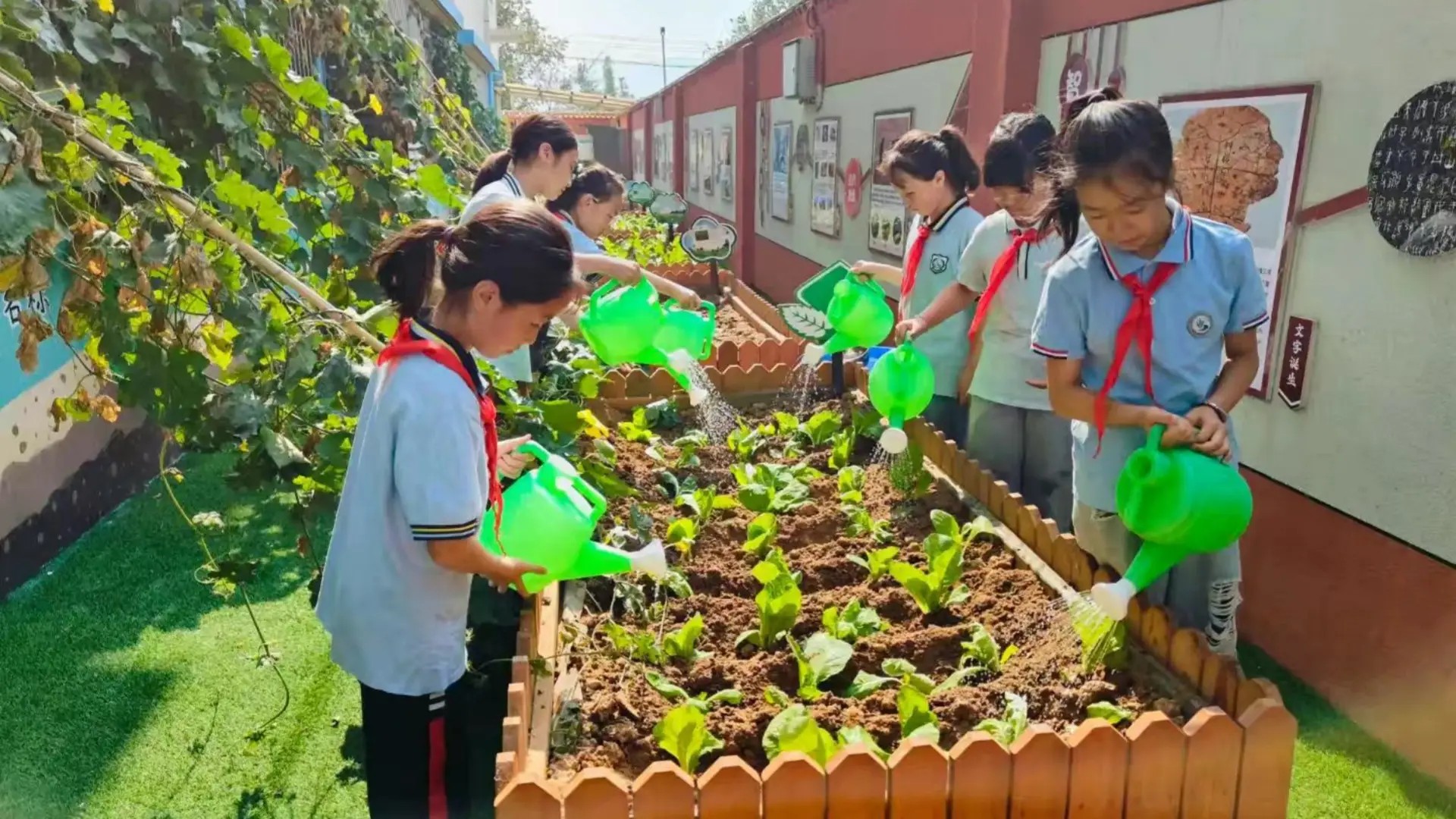 1768180526304718.jpg 42272773851240cf8752578cd9e53a13.jpg