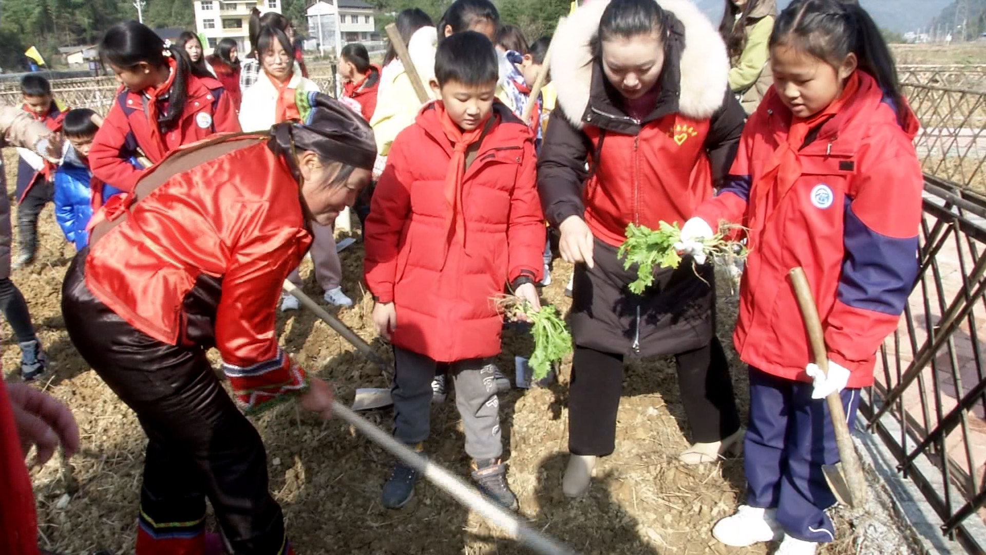 1768180543941711.jpg f535013243a89e11563be52b55c93805a273c28f88b1421f827a9414e5755e07.jpg