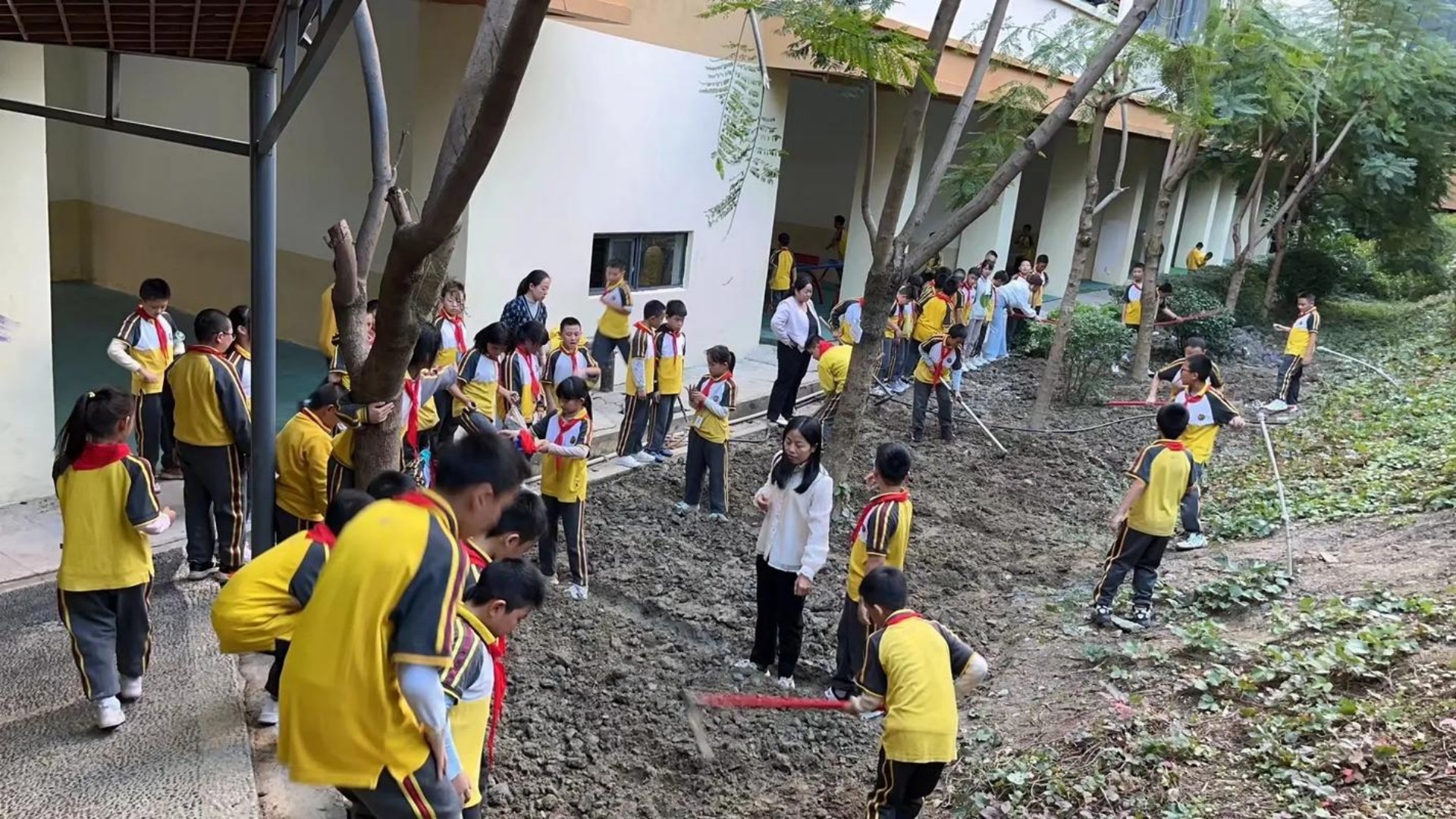 1768267100266906.jpg u=917047925,1549826708&fm=253&app=138&f=JPEG.jpg