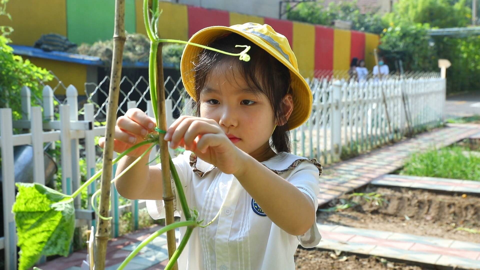 1768373795872772.jpg 381272aa1eec4e2b8b2da357602abeb5.jpg