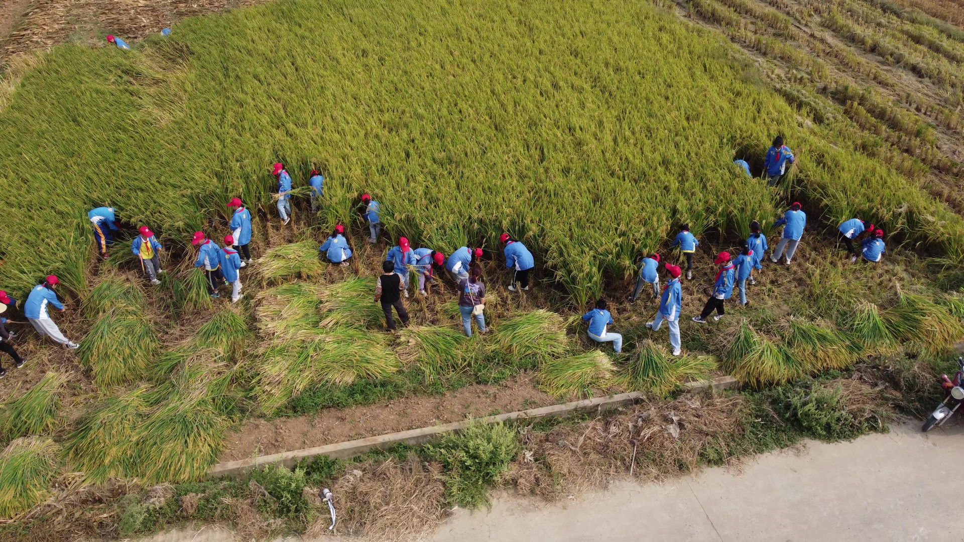 1768373803781311.jpg ceda7c790927cbae0089ec96dbd49f18.jpg