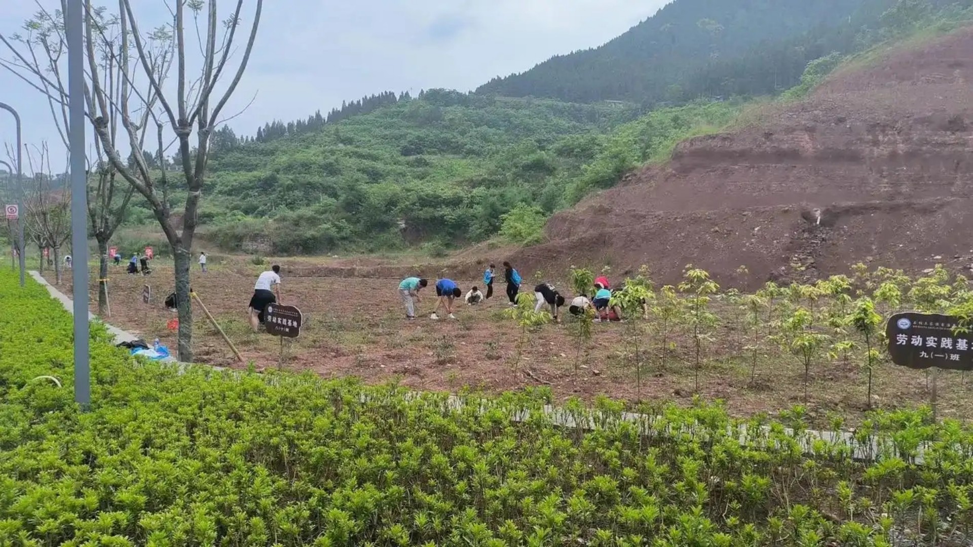 1768373870868133.jpg u=2929853404,3168931546&fm=253&fmt=auto&app=138&f=JPEG.jpg