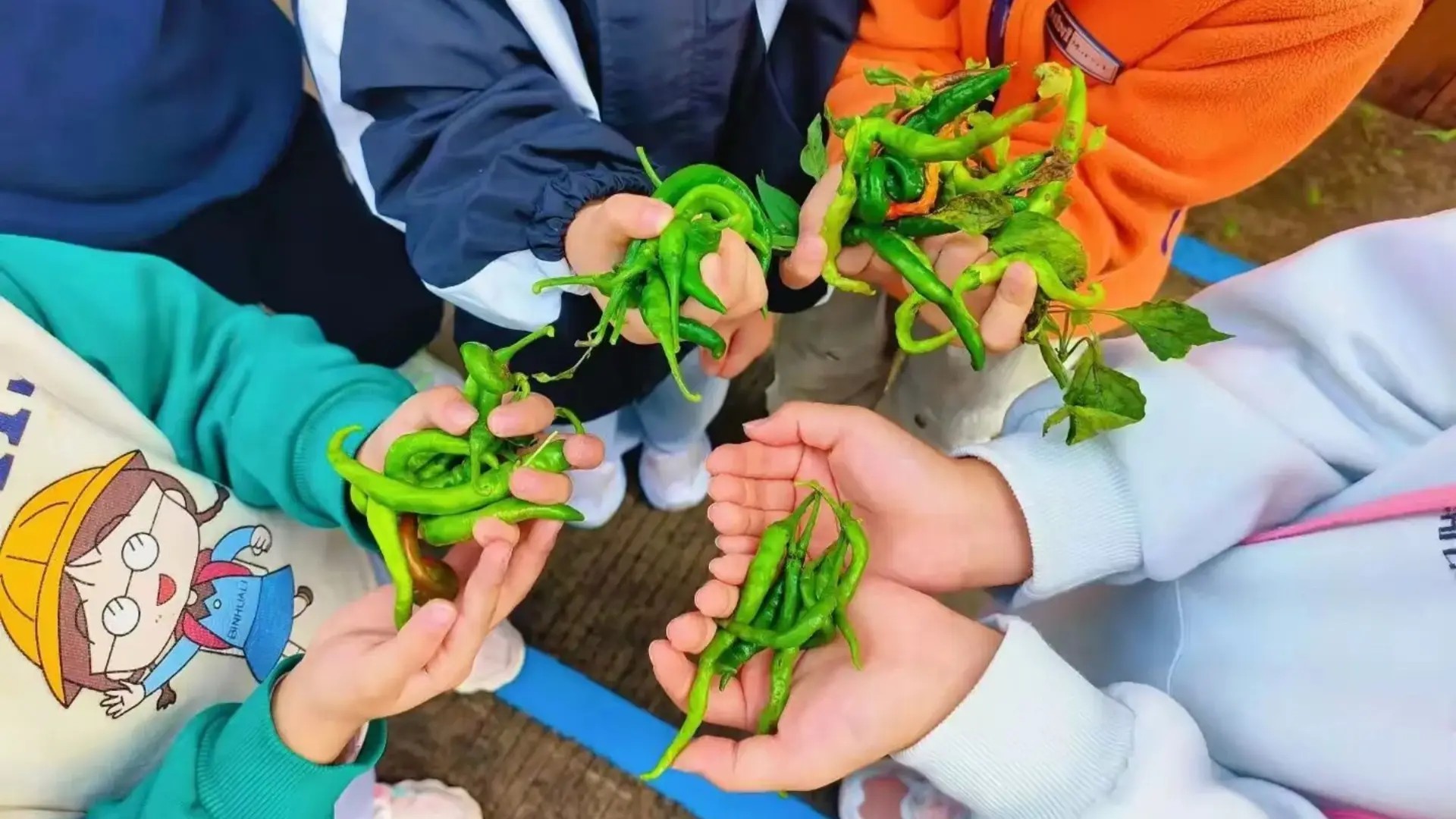 1768438185990905.jpg 959c4c768e5b4e3db8d204b25a8b6543.jpg