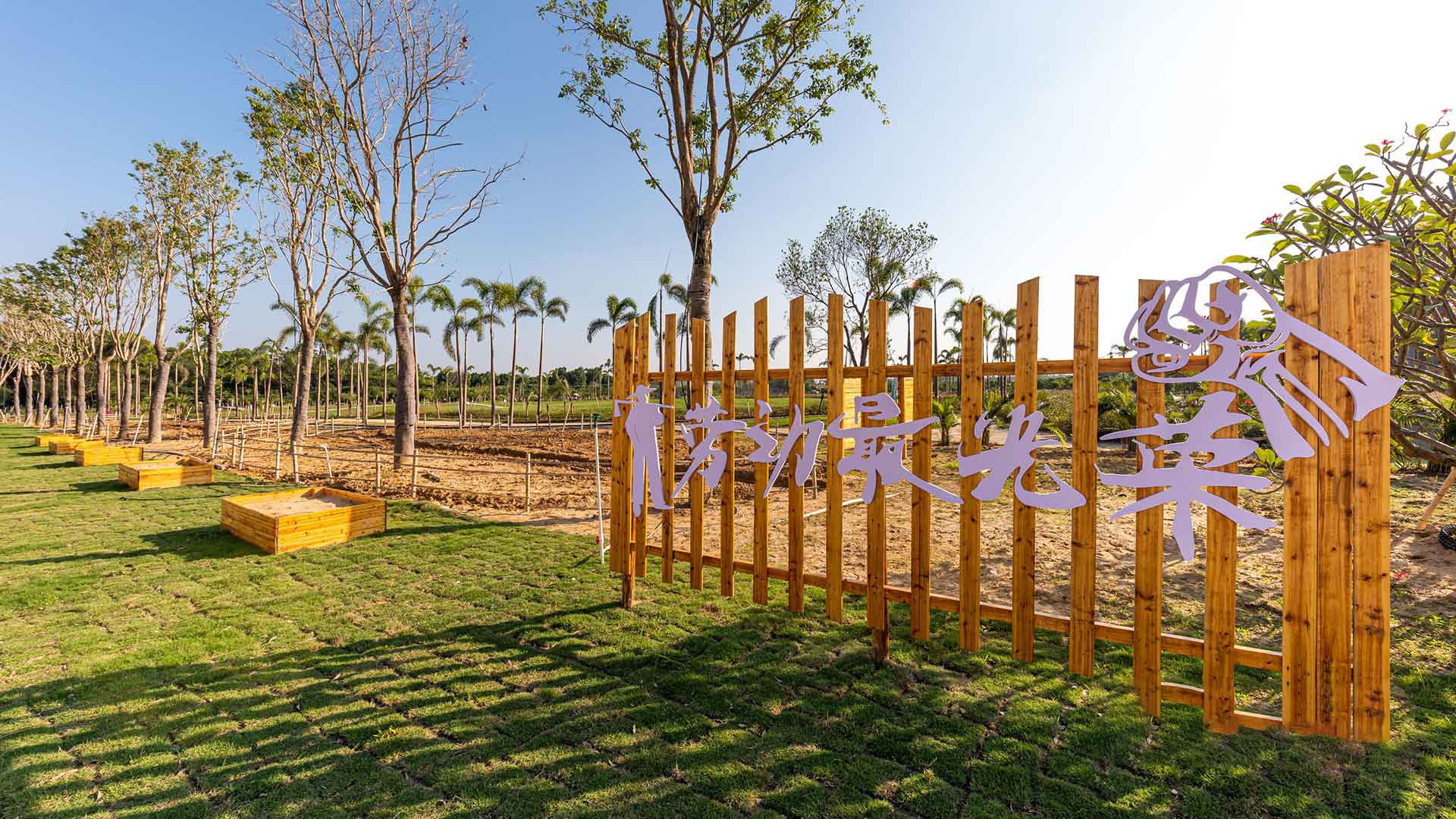 1768438214558685.jpg hzlh11.jpg