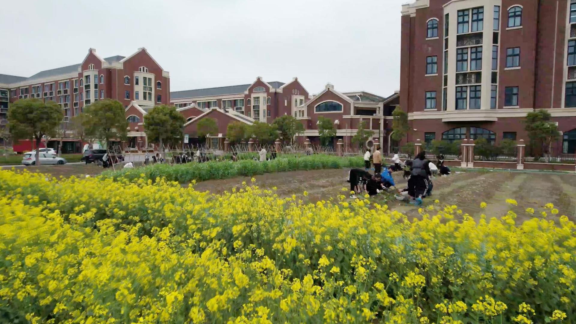 1768438227470855.jpg v2-5208763e94244004f70acabeeb1a80c6.jpg