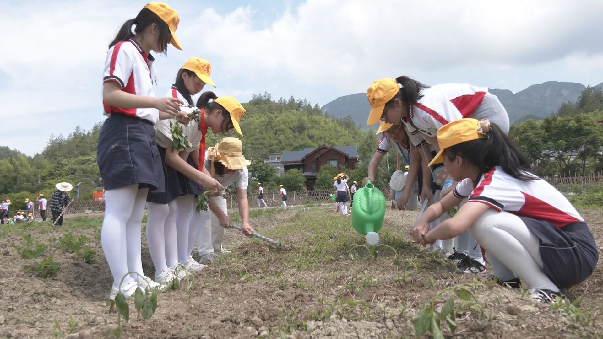 1768525891526580.jpg 546db2695a4c32c2ede10bc020ec9059.jpg